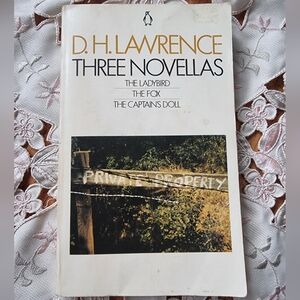 Three Novellas by D.H. Lawrence The Ladybird The Fox The Captains Doll Paperback